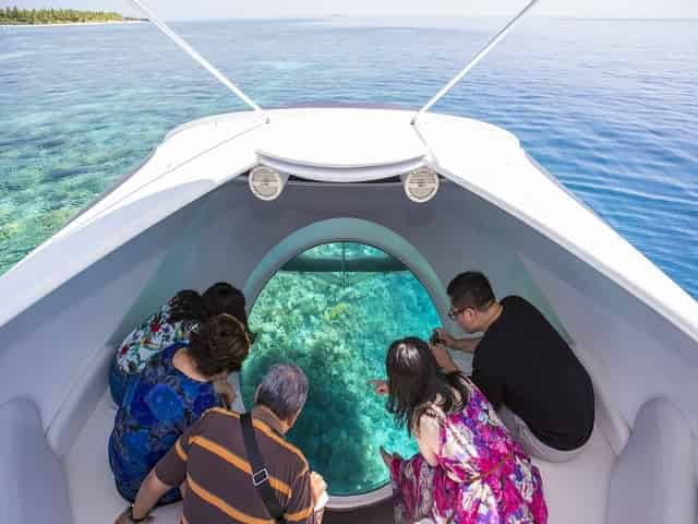 Glass bottom boat tour How to Choose the Perfect Boat Charters in Key West