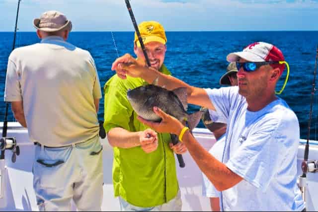 man holding up trigger fish caught in destin florida