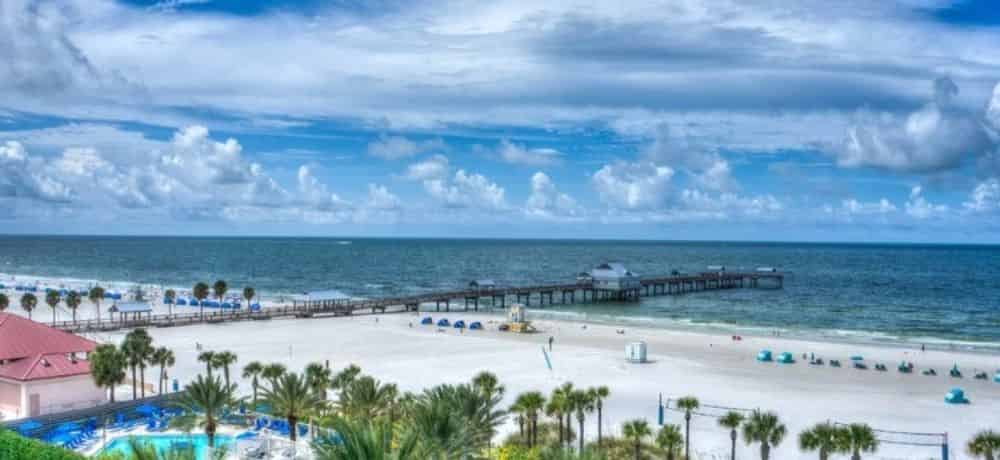 8 Delightful and Unique Things to Do in Clearwater, FL 