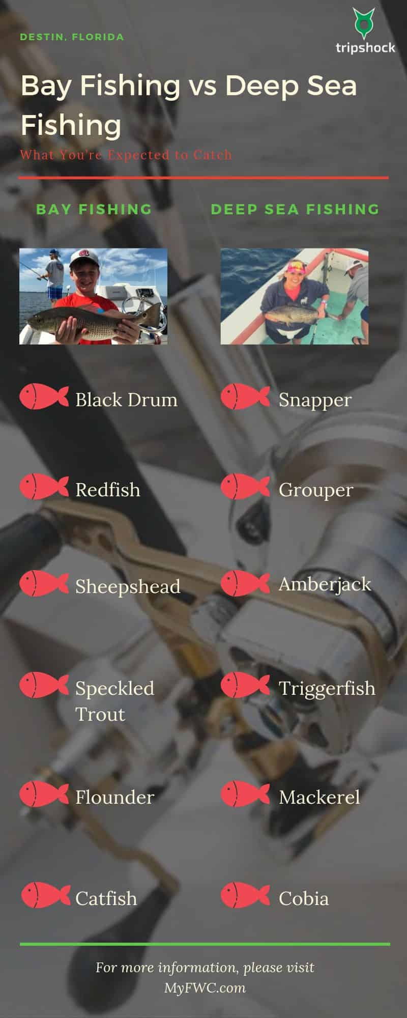 bay fishing vs deep sea fishing graphic