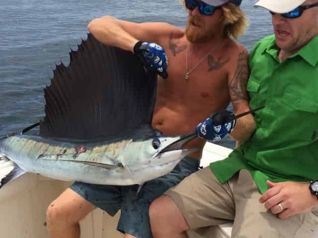 angler on Reel Deal Charters catching a sailfish