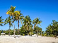 Enjoyable Holiday Activities In Key Largo FL