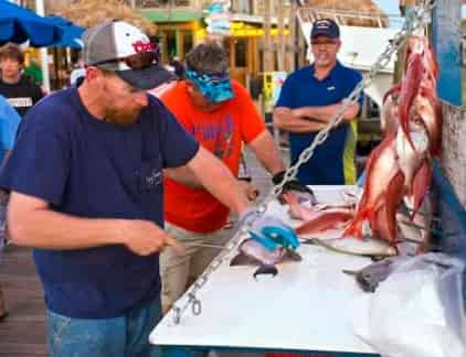 Fishing in Destin in October: The Destin Fishing Rodeo, What’s Biting & How to Get on the Water