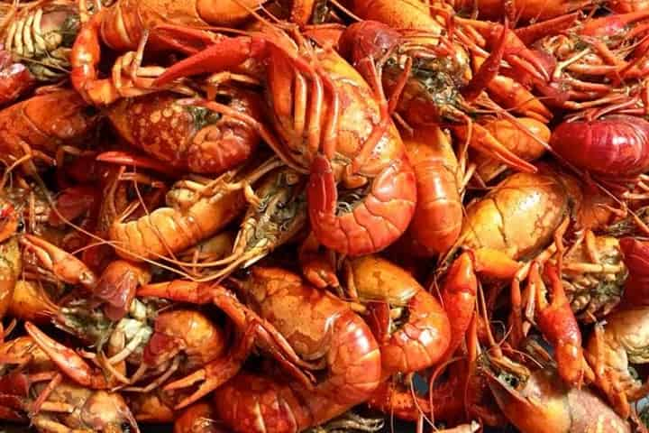 Food and Fun at the Zydeco & Crawfish Festival in Gulf Shores, AL