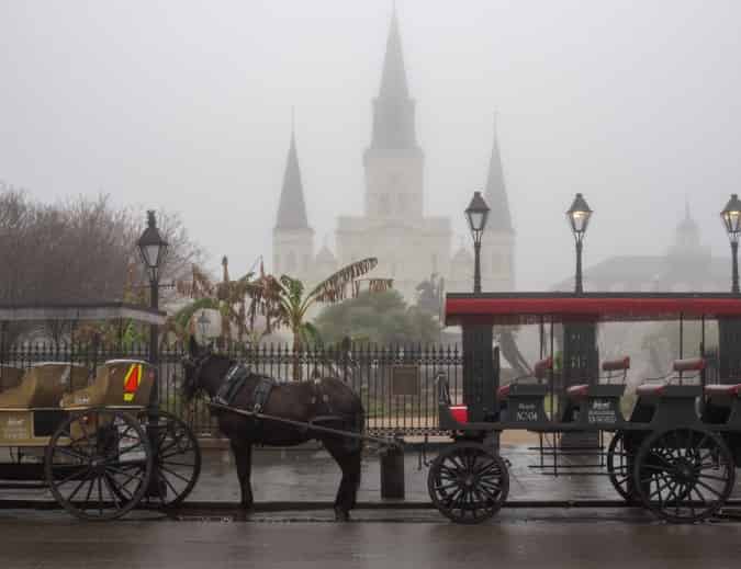 French Quarter Halloween: Bourbon Street and Beyond (2025 Guide)
