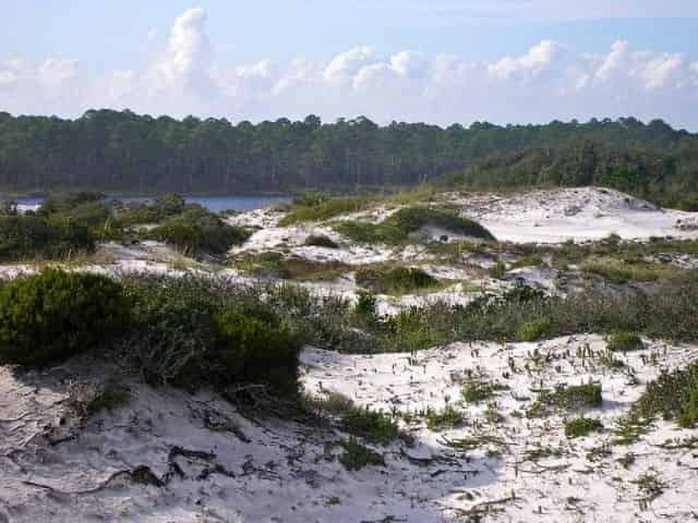 Coastal dune lake in 30A, Florida