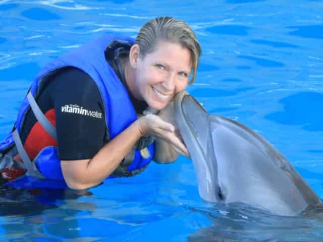 dolphin swim adventure at the panama city beach marine park