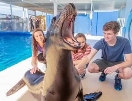 Gulfarium Marine Adventure Park: What to Know Before You Go