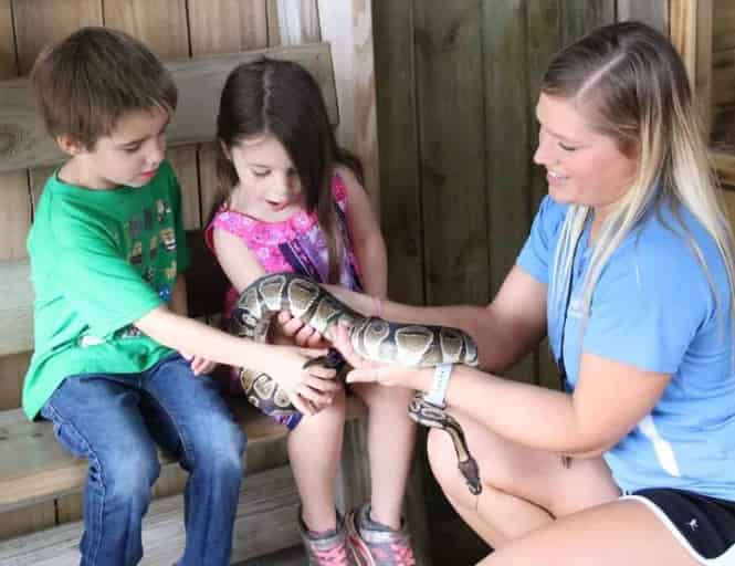 Gulfarium Marine Adventure Park: What to Know Before You Go