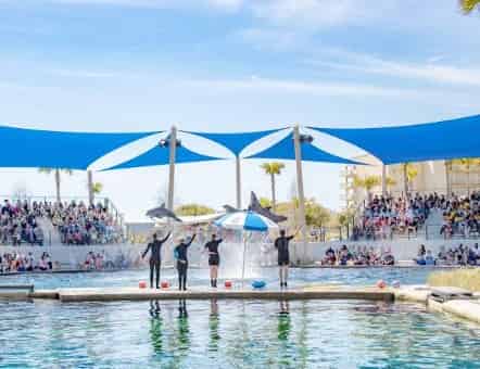 Gulfarium Marine Adventure Park: What to Know Before You Go
