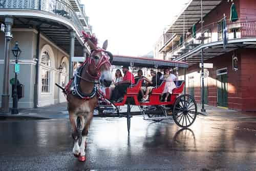 daytime french quarter carriage ride