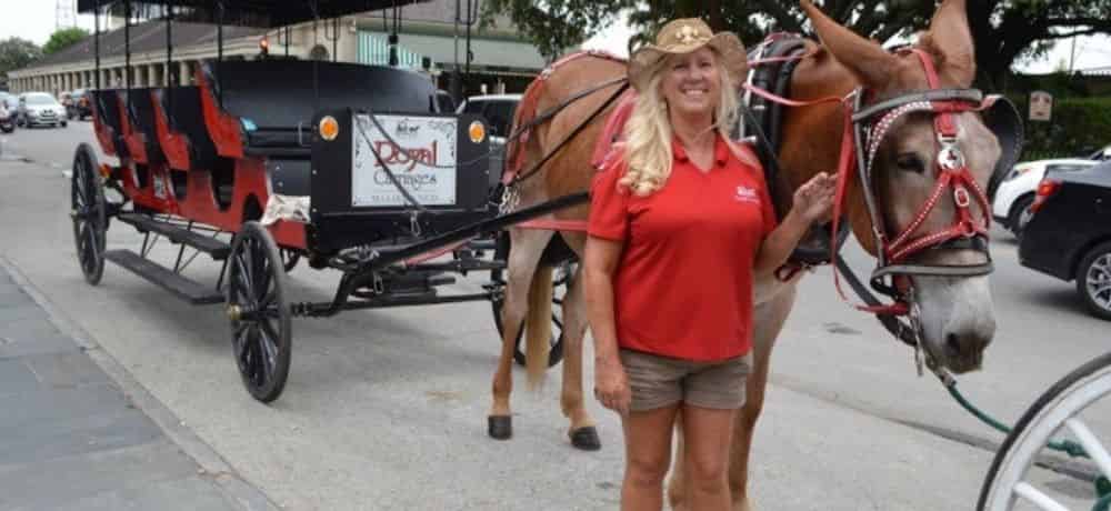 New Orleans Carriage Rides Coupons 2023