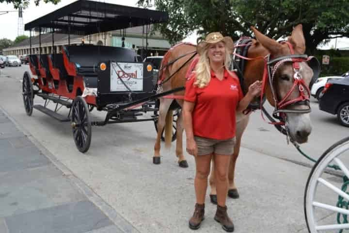 haunted carriage tour