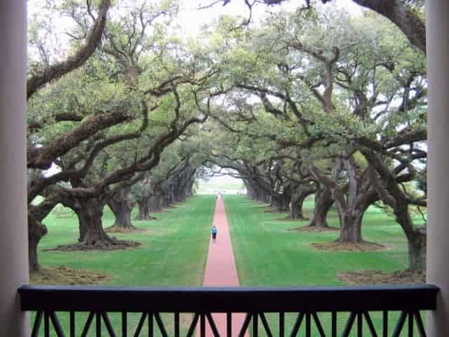 oak alley plantation