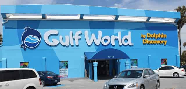 Gulf World Marine Park 7 Things To Do With Toddlers in Panama City Beach, FL
