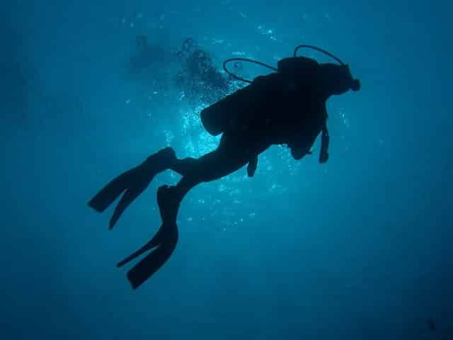 scuba diving in the florida keys