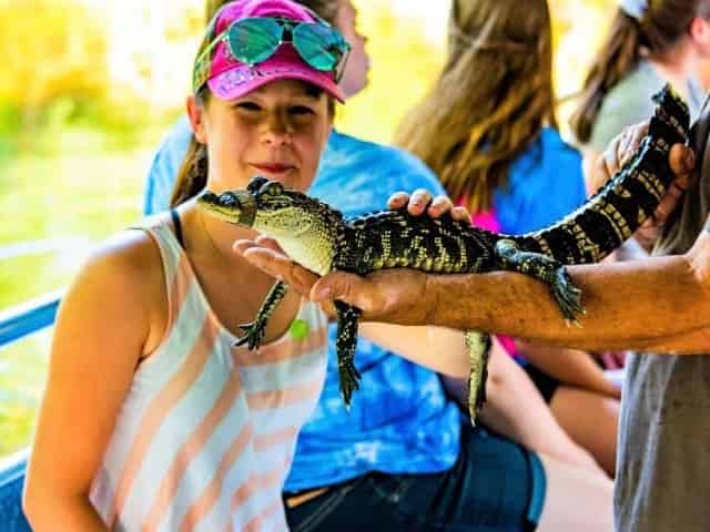 girl holding alligator on manchac swamp tour