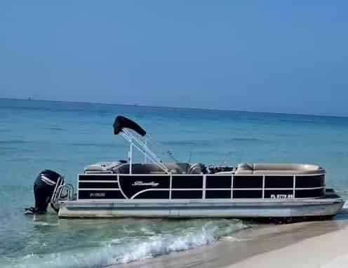 5 Best Ways to See Dolphins in Orange Beach, Alabama (With Fun Facts & Tips)