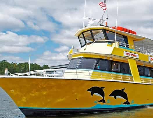 5 Best Ways to See Dolphins in Orange Beach, Alabama (With Fun Facts & Tips)