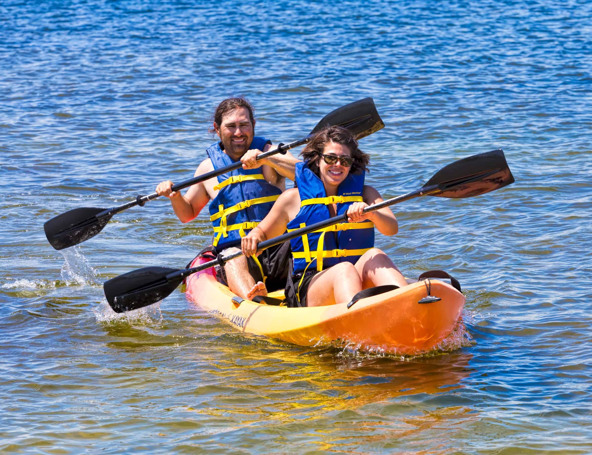 5 Best Ways to See Dolphins in Orange Beach, Alabama (With Fun Facts & Tips)