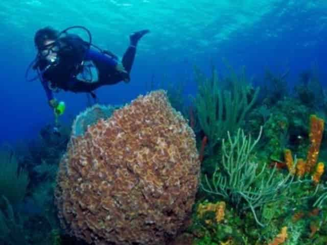 scuba diving in the Florida Keys