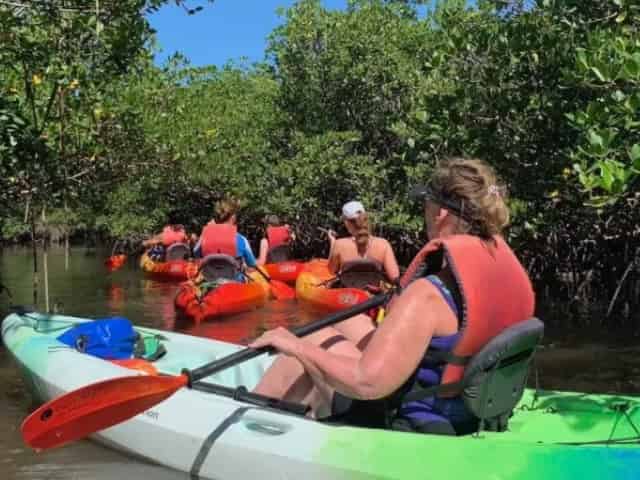 kayak tour during spring break in florida