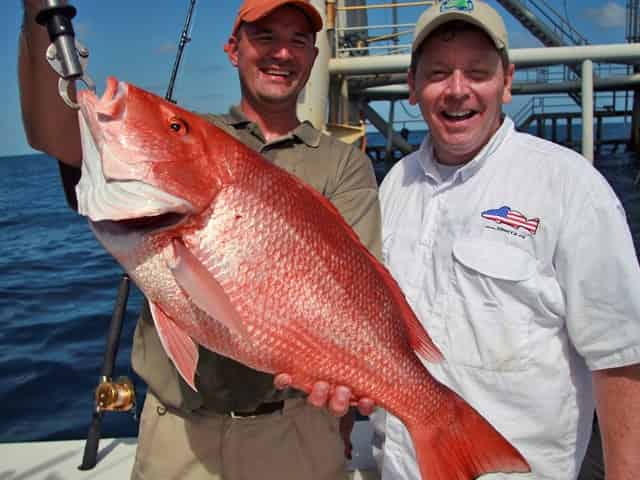Red Snapper caught in Florida