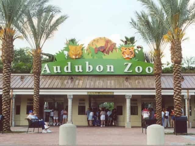 audubon zoo in new orleans
