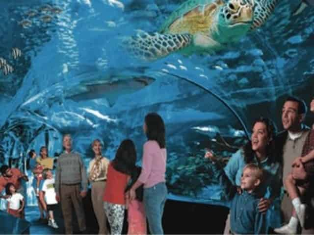 myrtle beach sc ripleys attractions for families