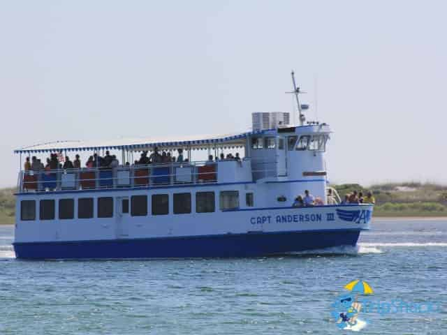 shell island eco tour