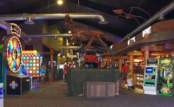 Wild Willy's Adventure Zone What do locals do in Destin FL? [ANSWERED]