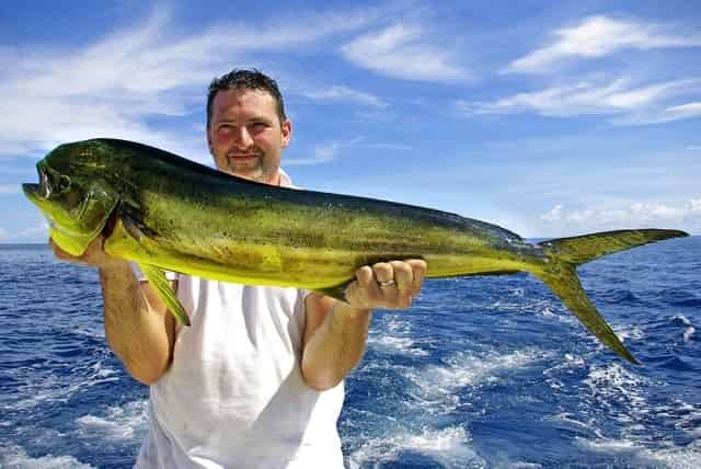 Fisheran holding a dolphin fish in Panama City Beach FL