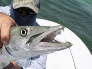 What Fish Are Biting In Key West How To Catch Them 
