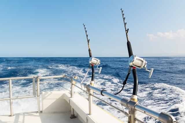 Private fishing charter What Fish are Biting in Key West? [& How to Catch Them]