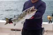 What Fish Are Biting In Key West How To Catch Them 