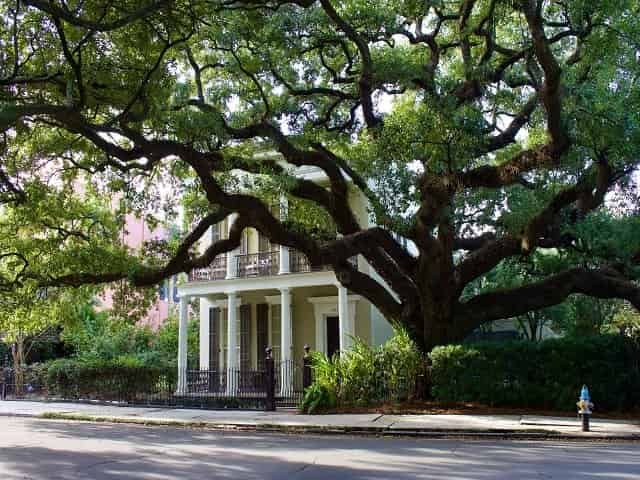What to do in Downtown New Orleans - 10 Best Activities
