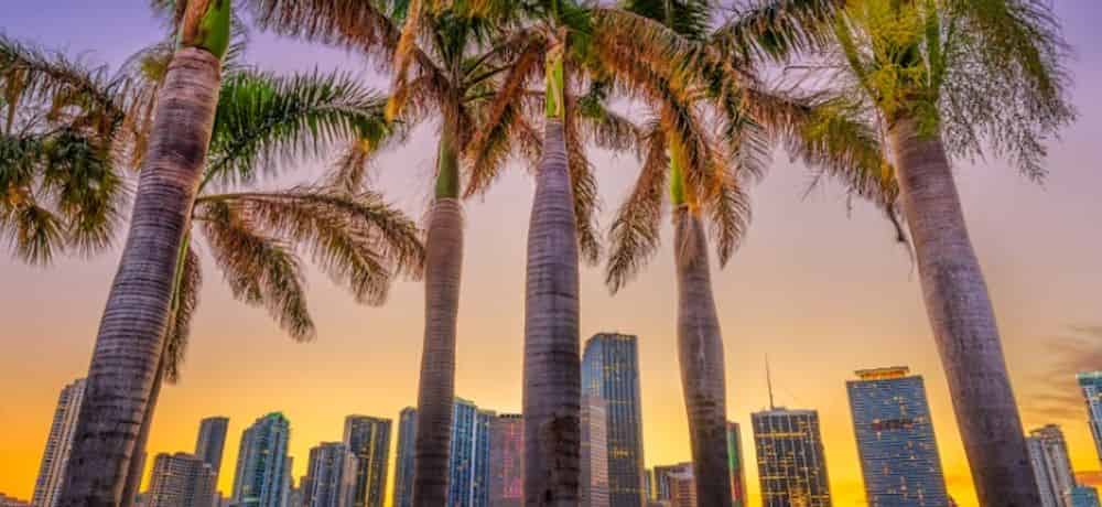 Here's What to do in Miami in Winter - Top 7 Activities