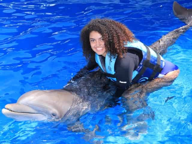 dolphin hugs at gulf world marine park