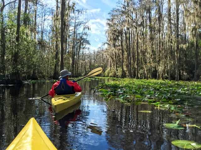 Kayak tours through the Lousiana swamps Best Ways to See the Swamps of New Orleans (Photos, Tours & More)