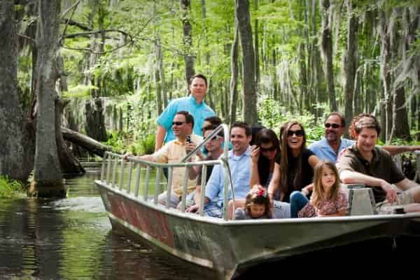 honey island featured swamp tour