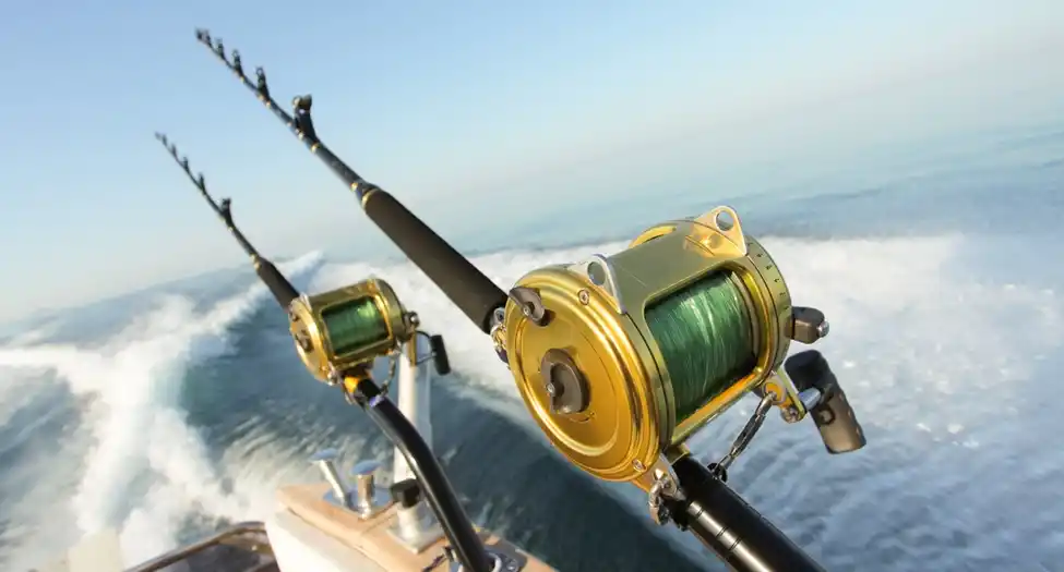 Deep Sea Fishing Charters