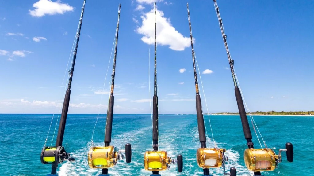 Private Deep Sea Fishing Charters