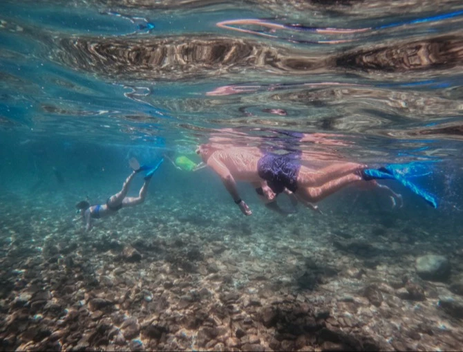 Shelling & Snorkeling Tours