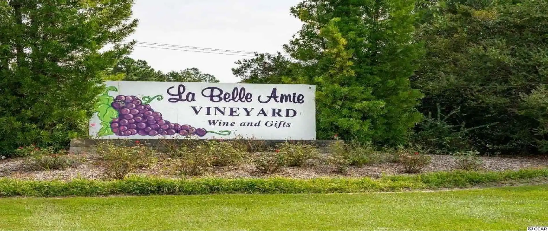 La belle amie vineyards hotsell