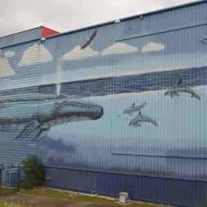 Wyland-Wall-88-The-Whaling-Wall