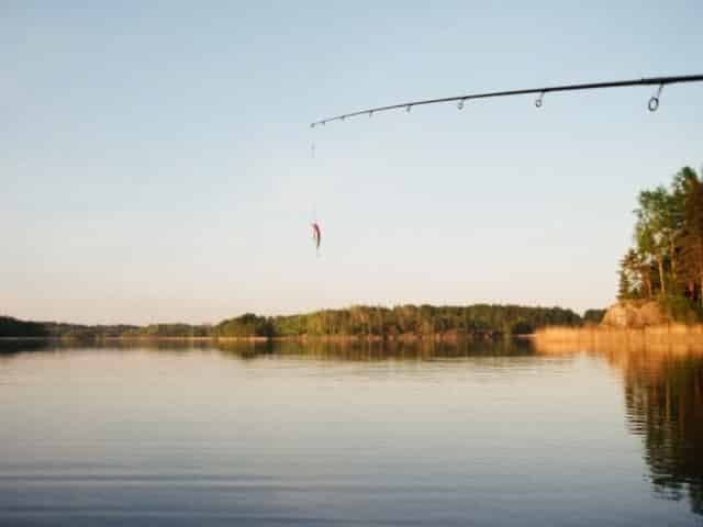 freshwater fishing on a sunny day