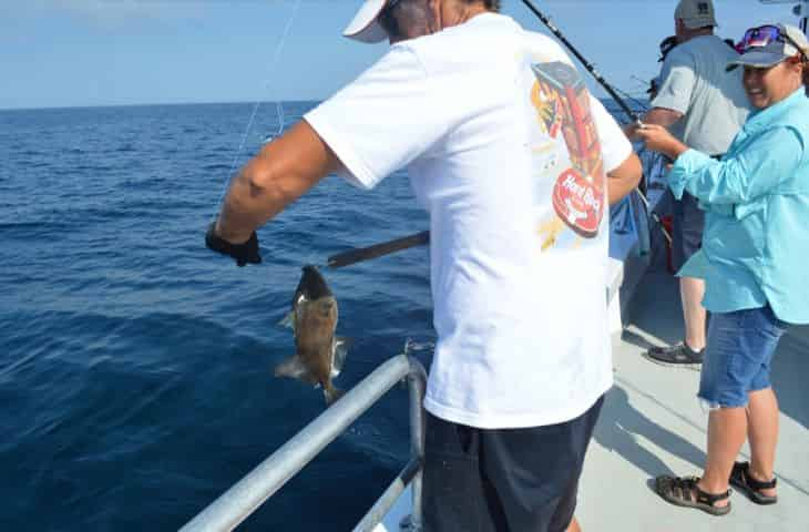 Gulf Bottom Fishing Basics: Party Boat Insider Tips