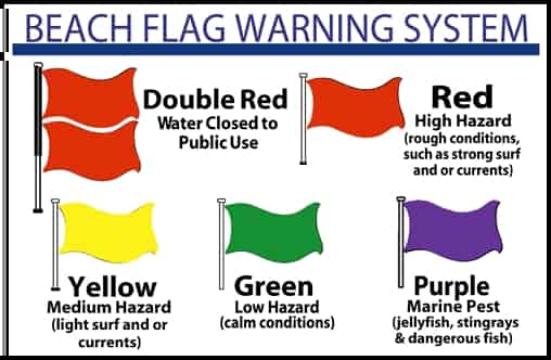 beach-flag-warning