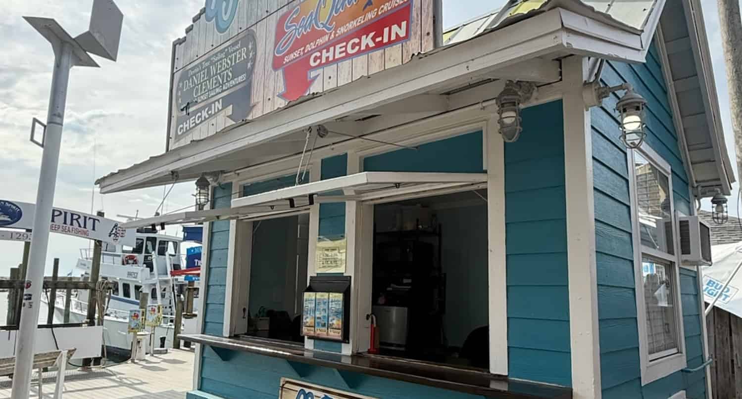 SeaQuest-Dolphin-Sightseeing-Tour