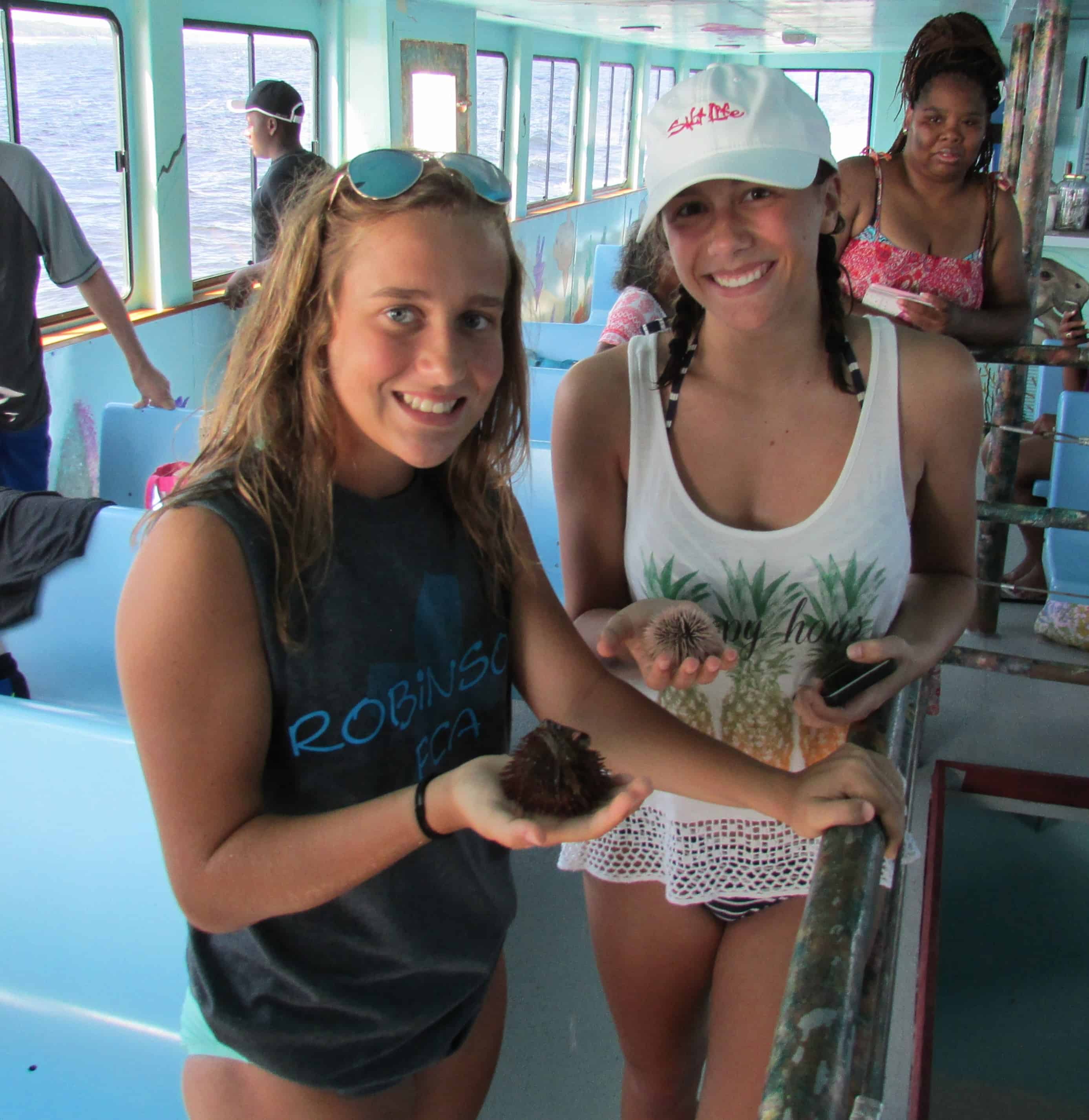 Shell-Island-Eco-Sea-fari-Tour-and-Dolphin-Encounter